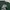 The Hundreds Streetwear Skater T-shirt Pria green photo 5