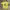 DISCOVERY shirt yellow photo 1