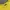 DISCOVERY shirt yellow photo 3