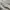 Vintage Y2K Cami top Wanita white photo 8