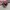 Nike Air Max Tn Plus Thermoactive Red photo 1