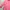 Eight Seconds Jacket Pink - Minimalist Utility Style photo 4
