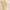Butter Yellow Cable Knit Halter Top BKK  photo 3