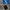 Adidas Spezial Cw Argent photo 3