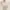 AIR SPACE Lace Crop Top Ivory BW Long Sleeve Coquette Bridal