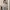 AIR SPACE Lace Crop Top Ivory BW Long Sleeve Coquette Bridal photo 2