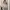 AIR SPACE Lace Crop Top Ivory BW Long Sleeve Coquette Bridal