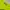 Sportswear Crop top Wanita green yellow photo 3