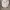 Liverpool Away Jersey 25/26 photo 1
