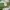 ✮ Y2k Flare Jeans Embroidered Back Pocket White Lowwaist  photo 10