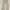 Evenriver  Workwear Cargo Pant Original
