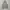HOODIE THISISNEVERTHAT  photo 1