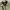 Field core tactical jacket photo 3