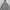 Hoodie Dickies Side Tapped photo 6