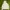 New Balance Minimalist Casual Hoody Pria white photo 1