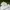 New Balance Minimalist Casual Hoody Pria white photo 2