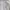 Laurenhi Korea Open Collar Shirts Stripe Black White Boxy Fi photo 9