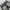 Streetwear Ripped jeans Wanita blue photo 4