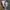 Adidas seeulater 2 stella mcCartney hiking photo 1