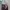 Assassin's Creed: Last Descendants – Makam Sang Khan