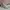 Louis Vuitton Trainer Triple White photo 1