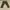 Japan Industry Associaton Olive Colour & Aztec Pattern Buckl photo 4