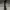Cole Denim Black Camo Flared Bootcut Jeans photo 2