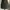The editors market corduroy mini skirt army photo 1
