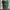 Thisisneverthat Casual Hat Pria Green