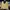 U.W.S Under Wood School Hoodie Kuning Size 66x53 photo 2