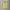Y2K Tanktop Yellow