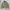 Carhartt Casual Track jacket Pria brown photo 1