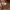 Marc Jacobs Medium Leather Tote Bag in Argan Oil photo 6