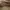 Marc Jacobs Medium Leather Tote Bag in Argan Oil photo 5