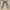 Balmain Paris Distressed Beige Cargo Pants Original photo 5