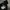 Luxury Futurist Hoody Pria black photo 6