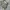 Military Vintage Oldskull Soldier Tactical Crossbody Bag Tas