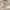 Morikei V-neck Lace Long sleeve photo 4