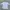 Chrome Hearts Casual T-shirt Pria white photo 1