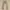 Menz Style Japanese Brand Flare Bike Multi Zipper Beige Deni photo 1