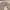 Menz Style Japanese Brand Flare Bike Multi Zipper Beige Deni photo 2