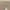 Menz Style Japanese Brand Flare Bike Multi Zipper Beige Deni photo 6