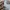 Menz Style Japanese Brand Flare Bike Multi Zipper Beige Deni photo 9