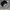 Snapback Raiders OG Logo Raw photo 4