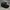 SnapBack Raiders SharkTooth 