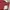 Stradivarius Casual High waisted jeans Wanita burgundy photo 2