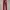 Stradivarius Casual High waisted jeans Wanita burgundy photo 1