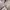H&M Crop Top Tie Dye Ariana Grande Thank U, Next photo 4