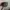 y2k Studed Cadhet Hats Damplush photo 1