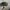 y2k Studed Cadhet Hats Damplush photo 4